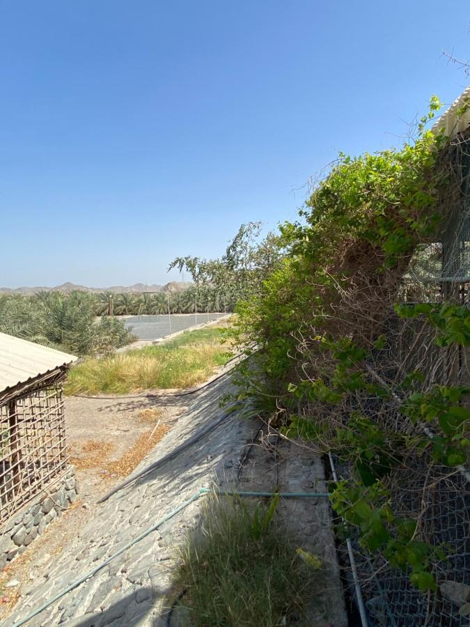 Uae Farm Villa Qur Ngoại thất bức ảnh