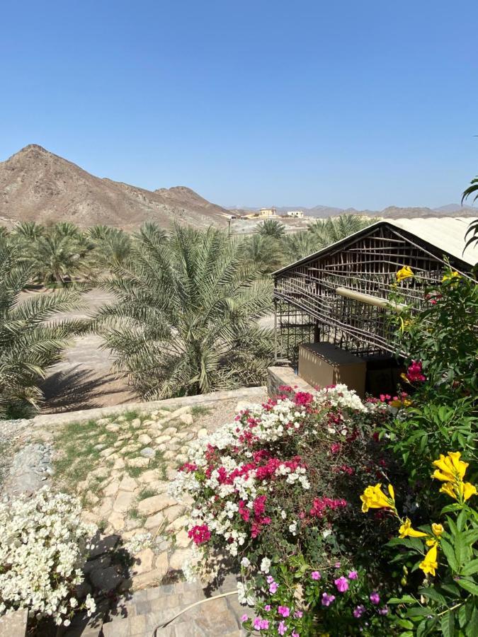 Uae Farm Villa Qur Ngoại thất bức ảnh
