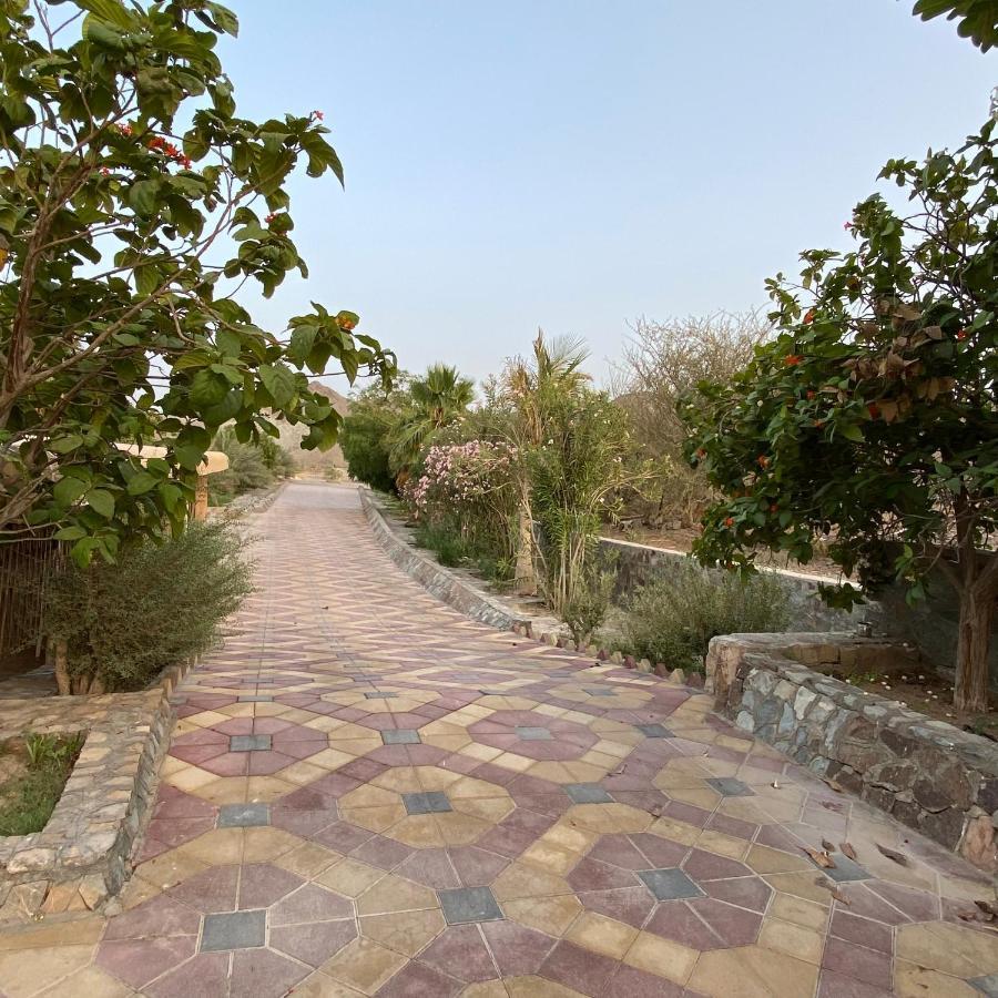 Uae Farm Villa Qur Ngoại thất bức ảnh